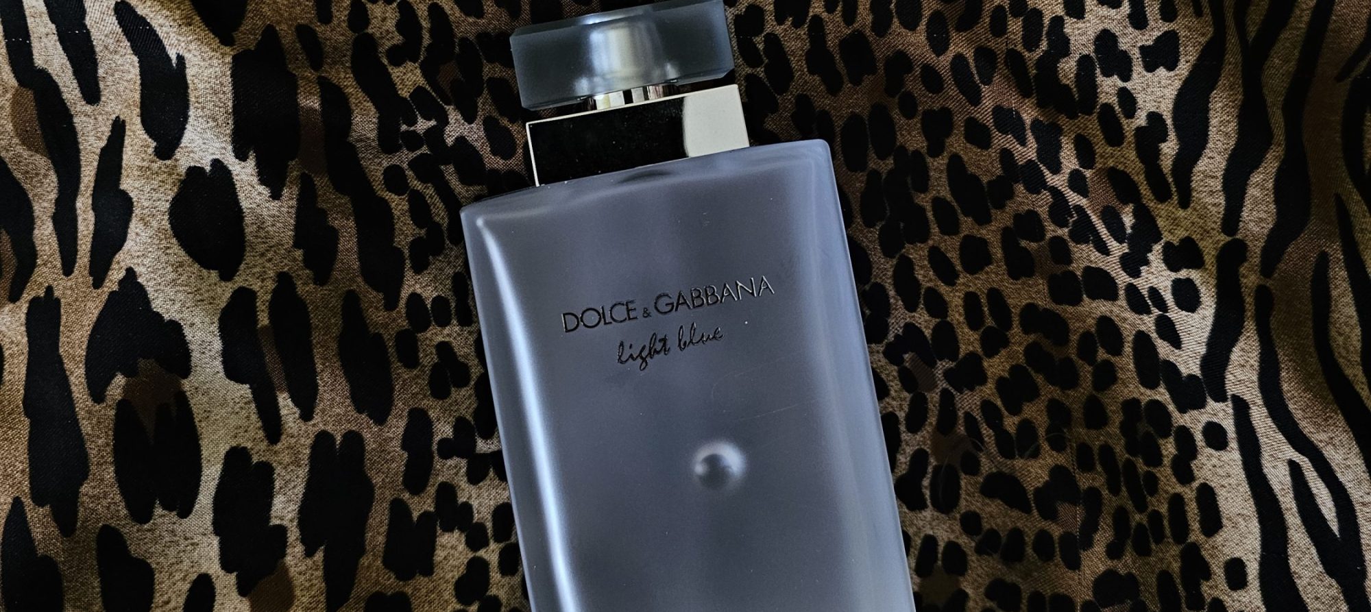 dolce & gabbana light blue