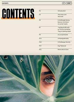 Top Beauty Brands on TikTok and What They're Getting Right Contents