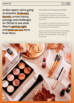 Top Beauty Brands on TikTok and What They're Getting Right Intro