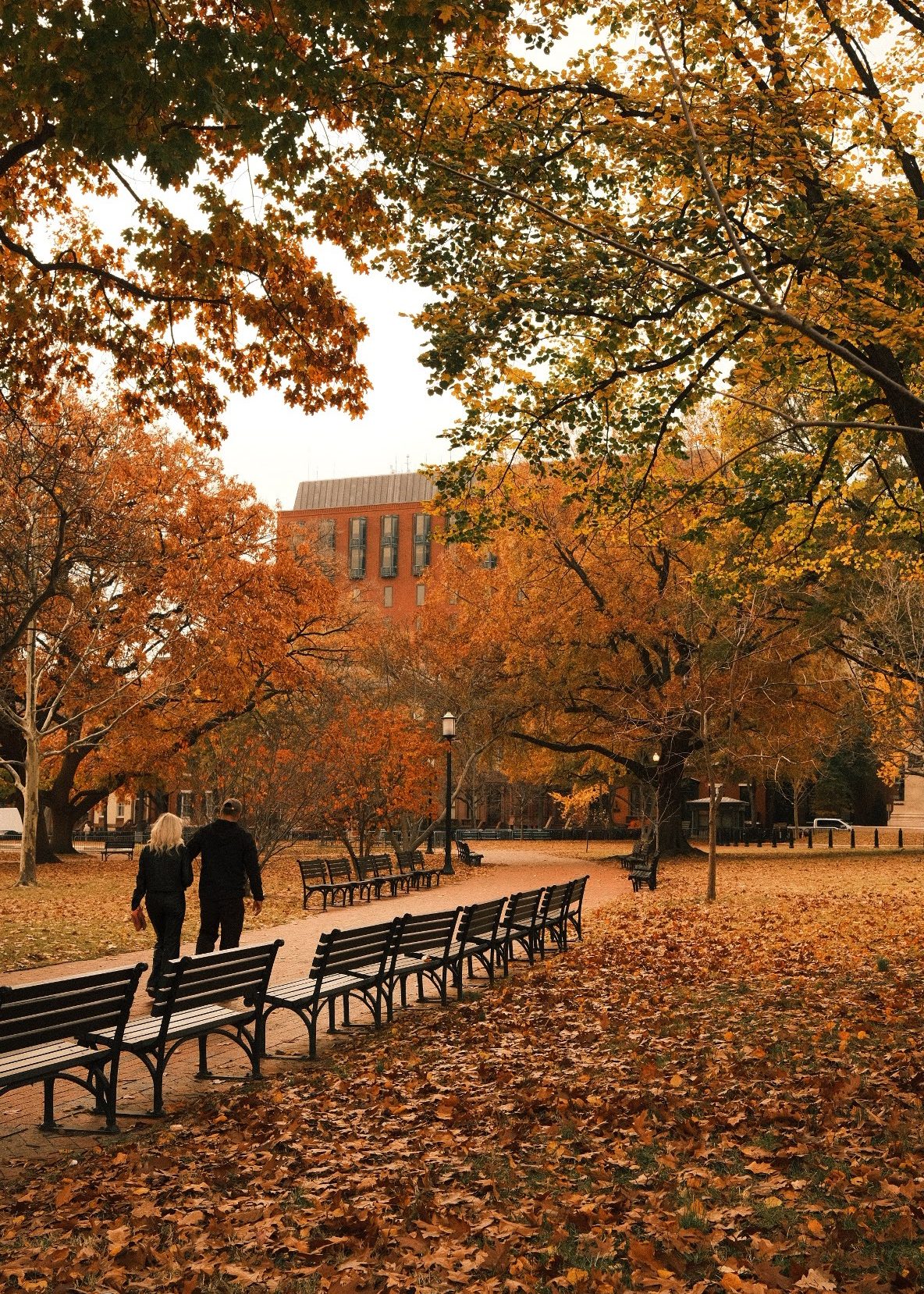 back-to-school campus