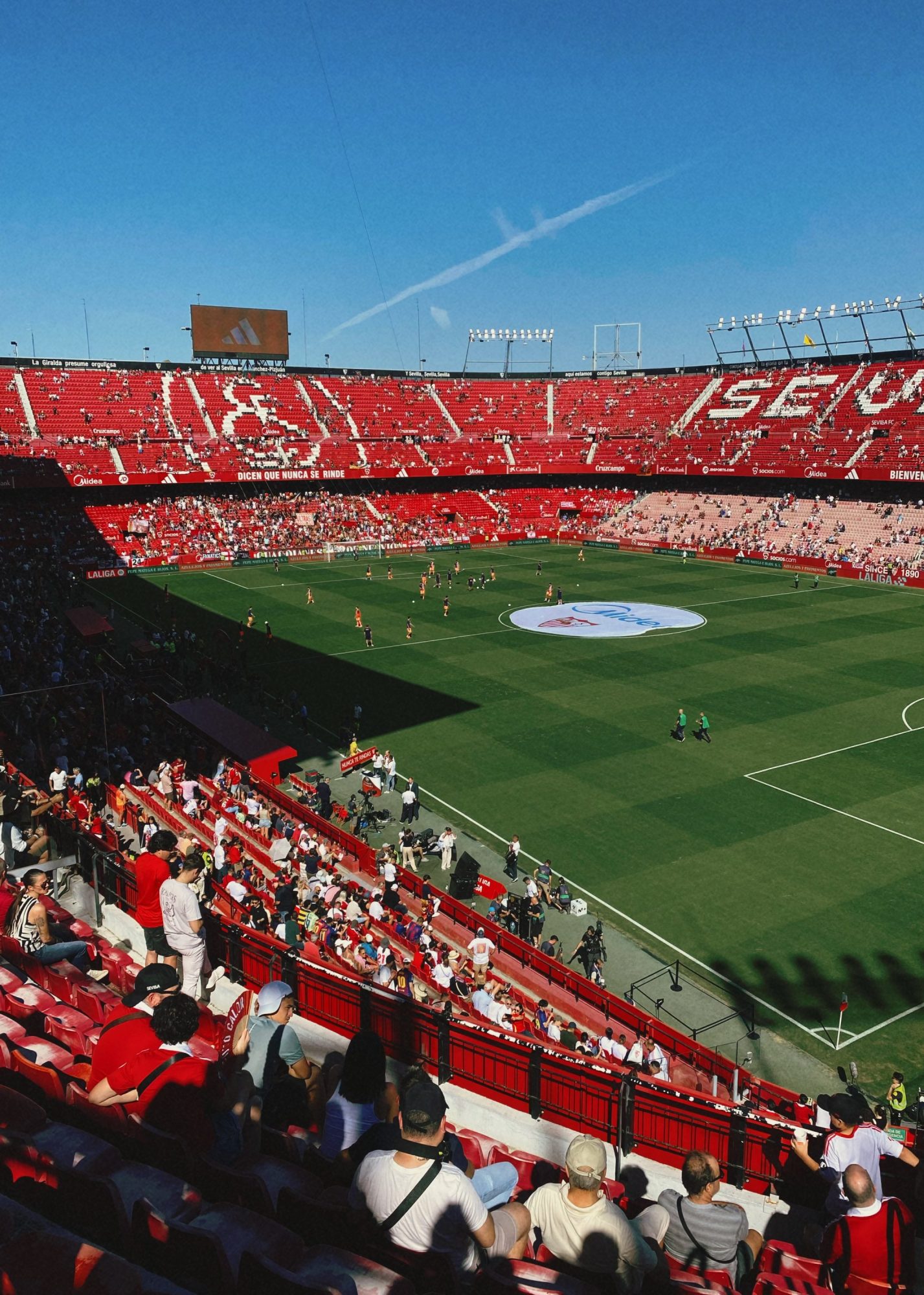 sport fandoms | summer of sport