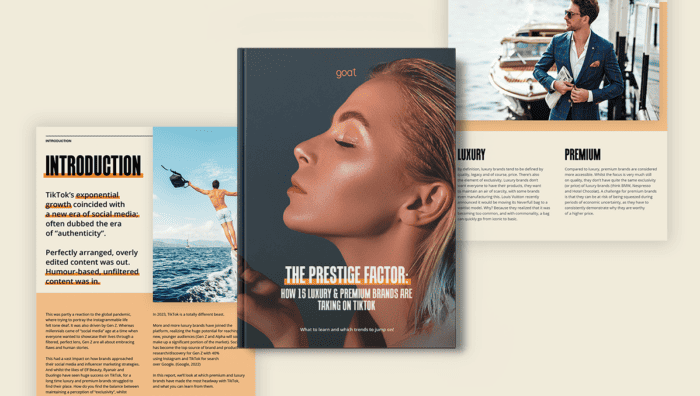A Selection Of Pages From The Goat Agency Luxury Brand Report