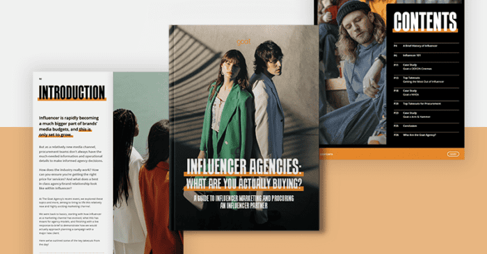 Influencer Agencies: What Are You Actually Buying? A Guide to Influencer Marketing and Procuring an Influencer Agency Partner